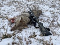 IMG_7560.jpeg