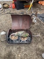 IMG_2538.jpeg