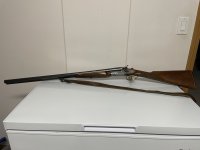 IMG_1257.jpeg