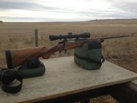 IMG_0787.jpeg