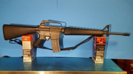 S5.jpg