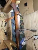 IMG_2882.jpeg