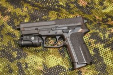 Sig Sauer SP 2022.jpg