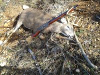 IMG_0689.jpeg
