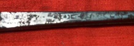 IMG_2819.jpeg