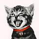 CatFace.jpg