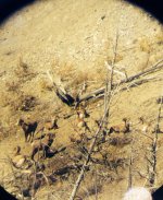 IMG_1247.jpeg