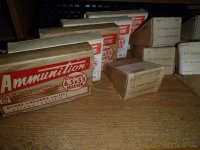 Ammo 1.jpg