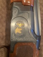 IMG_7350.jpeg