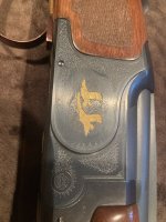 IMG_7352.jpeg