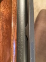 IMG_7358.jpeg