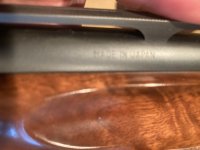 IMG_7359.jpeg