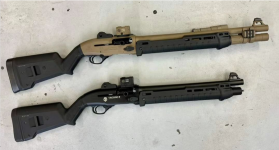 Tacord_shorty1301.png