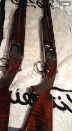 IMG_7360.jpeg