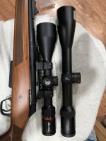 IMG_0173.jpeg