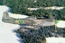 swedish p51.jpg