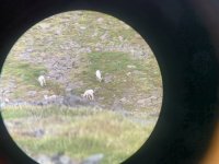IMG_3651.jpeg IMG_3651.jpeg