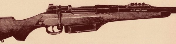 WR extended magazine.jpg
