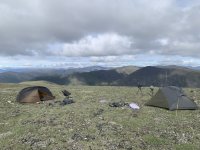 IMG_3446.jpeg IMG_3446.jpeg