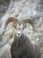IMG_1730.jpeg