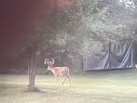 IMG_2546.jpeg