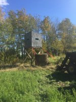 IMG_2636.jpeg