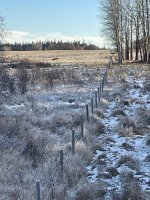 IMG_4166.jpeg