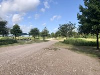 IMG_0990.jpeg