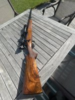 IMG_2512.jpeg