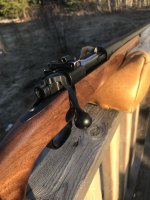 IMG_9329.jpeg