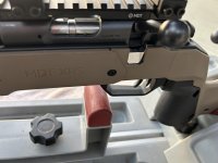 IMG_1524.JPEG