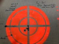 45-100 Sharps Target.jpg 45-100 Sharps Target.jpg