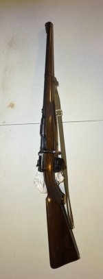 IMG_6831.jpeg