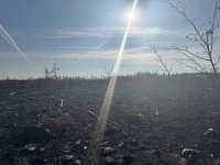 IMG_3101.jpeg