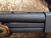 rqwrwqed.jpg rqwrwqed.jpg