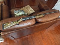 20250826_205301.jpg 20250826_205301.jpg