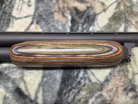 geg161739.jpg geg161739.jpg