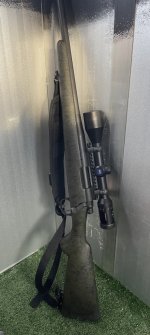 IMG_4196.jpeg