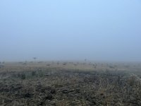 IMG_8618.jpeg