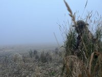 IMG_8619.jpeg