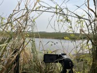 IMG_8657.jpeg