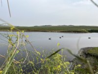 IMG_8655.jpeg