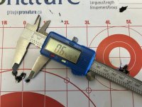 IMG_4701.jpeg IMG_4701.jpeg