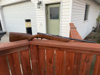 IMG_2323.jpeg