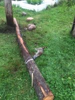 IMG_0869.jpeg