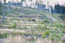 DSC_2660_tonemapped.jpg DSC_2660_tonemapped.jpg