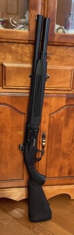 IMG_4652.jpeg