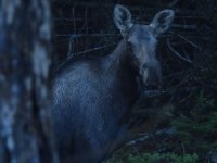 DSCN1576.JPG