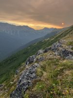 IMG_5318.jpeg
