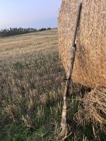 IMG_2823.jpeg IMG_2823.jpeg